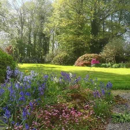 Carncairn Villa Broughshane Rom bilde