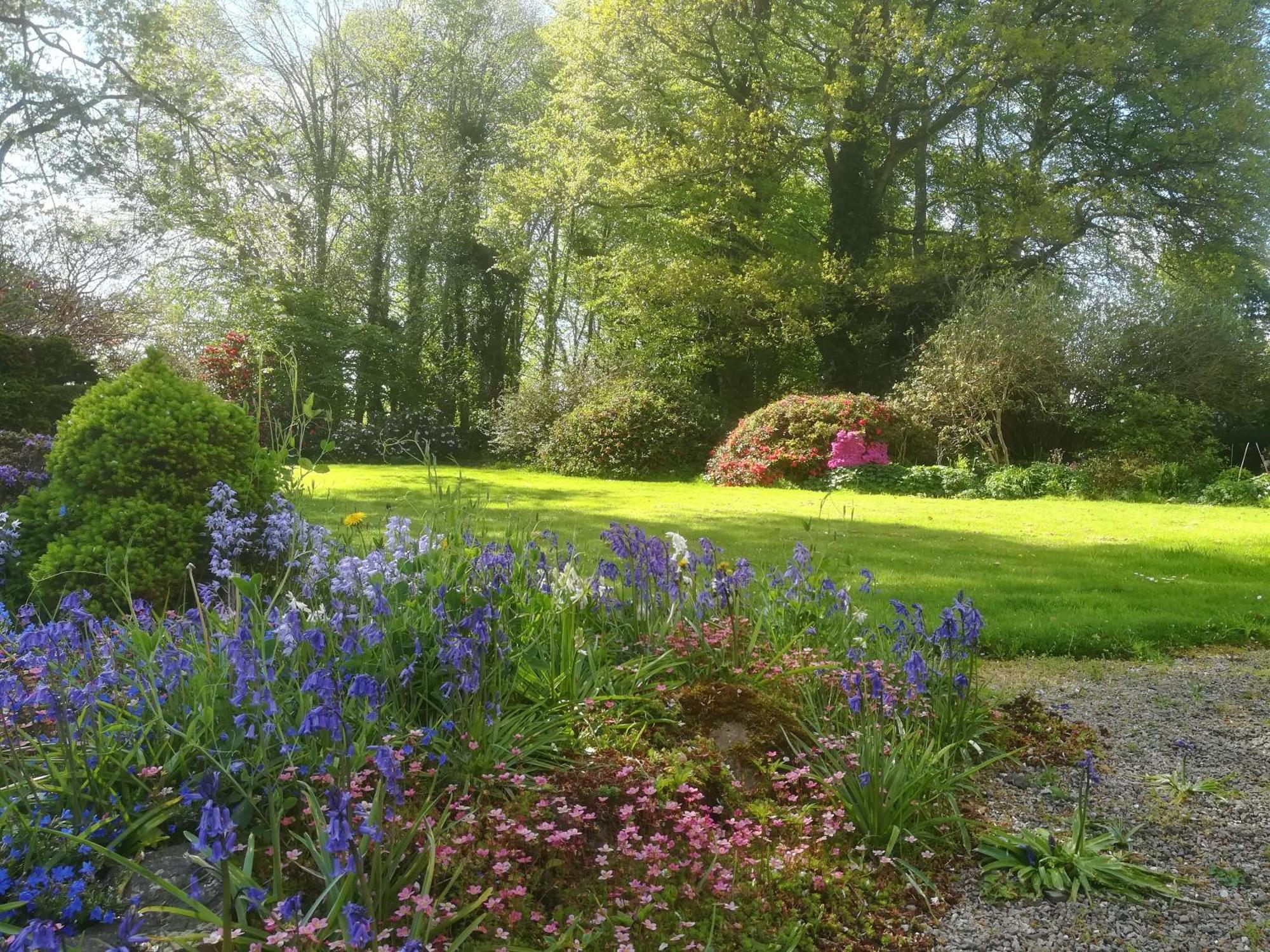 Carncairn Villa Broughshane Rom bilde